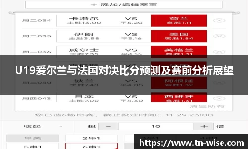 U19爱尔兰与法国对决比分预测及赛前分析展望